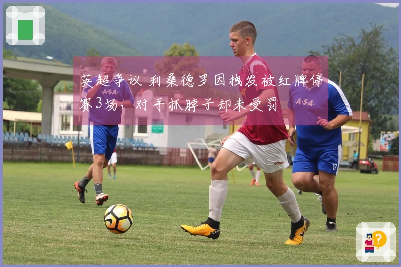 英超争议 利桑德罗因拽发被红牌停赛3场，对手抓脖子却未受罚
