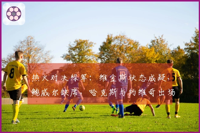 热火对决绿军：维金斯状态成疑，鲍威尔缺席，哈克斯与约维奇出场