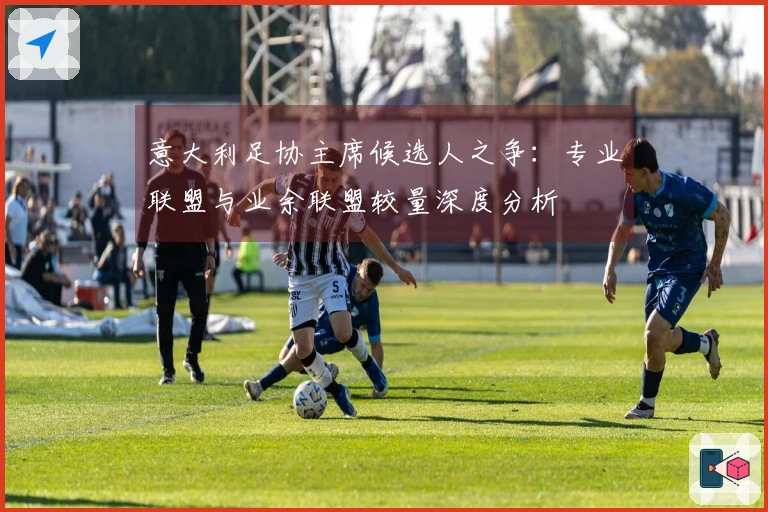 意大利足协主席候选人之争：专业联盟与业余联盟较量深度分析