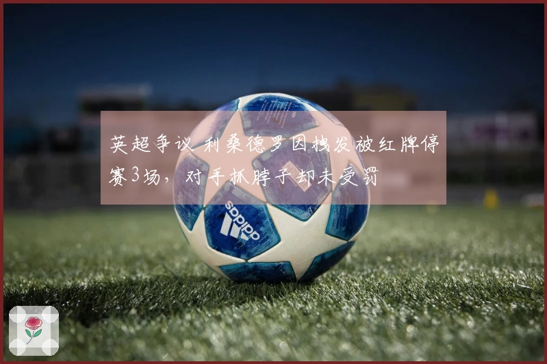 英超争议 利桑德罗因拽发被红牌停赛3场，对手抓脖子却未受罚